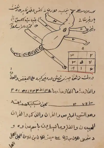 عجائب المخلوقات